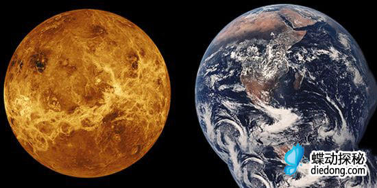 金星竟然存在生命体 金星外星人或真实存在