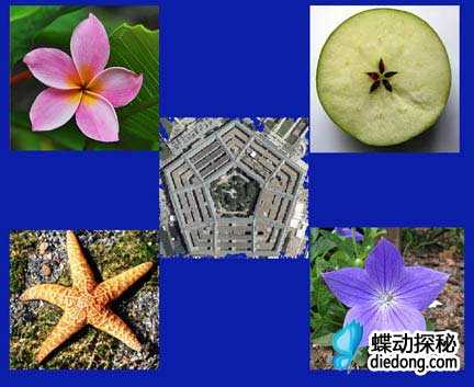 花瓣、苹果核、海星、和我们最熟悉的五角大楼