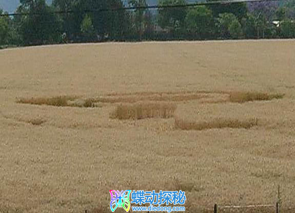 2012年10月21日阿根廷Chicoana Salta麦田怪圈