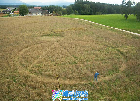 2011年8月13日奥地利Thomasroith Ober?sterreich麦田怪圈