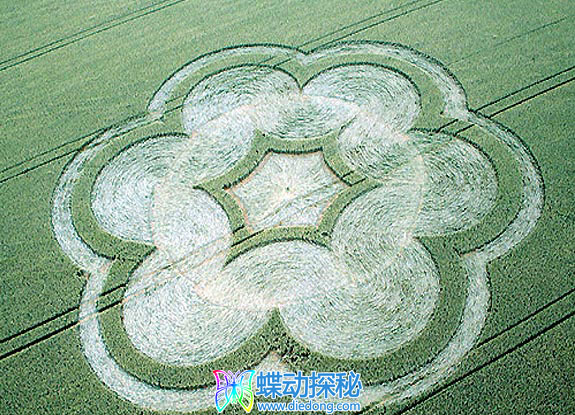 2007年6月16日比利时Waterloo Brabant麦田怪圈