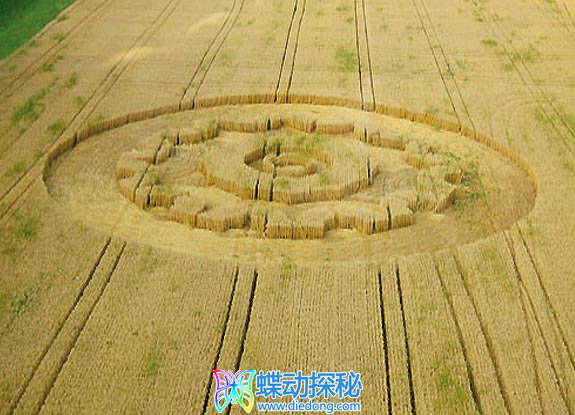 2006年7月19日瑞士Gümmenen Bern麦田怪圈