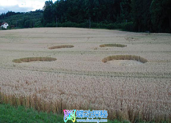 2008年7月09日瑞士Gütighausen Zürich麦田怪圈