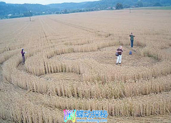 2007年6月27日捷克共和国Honsob Stredocesky kraj麦田怪圈