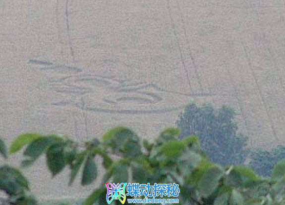 2009年7月02日捷克共和国Bezdez Liberecky kraj麦田怪圈