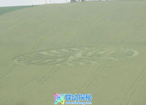 2012年5月16日捷克共和国Uhrice Jihomoravsky kraj麦田怪圈