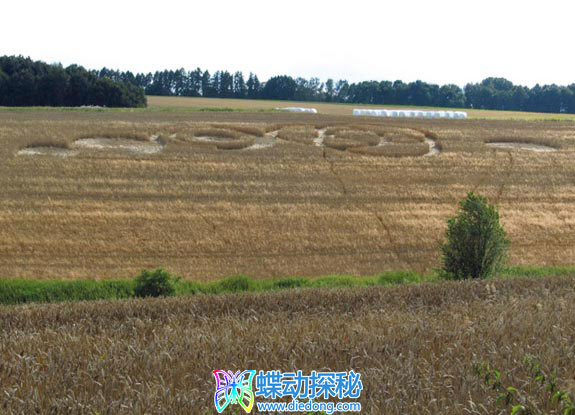 2012年7月15日捷克Mohelnice Jizerou Stredocesky kraj麦田怪圈