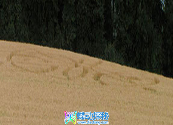 2008年7月17日德国B?rdel Niedersachsen麦田怪圈