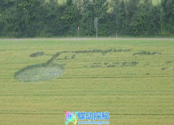 2009年7月05日德国Pfaffenhofen Bayern麦田怪圈