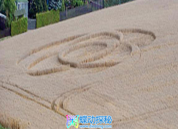 2011年8月18日德国Mittweida Sachsen麦田怪圈