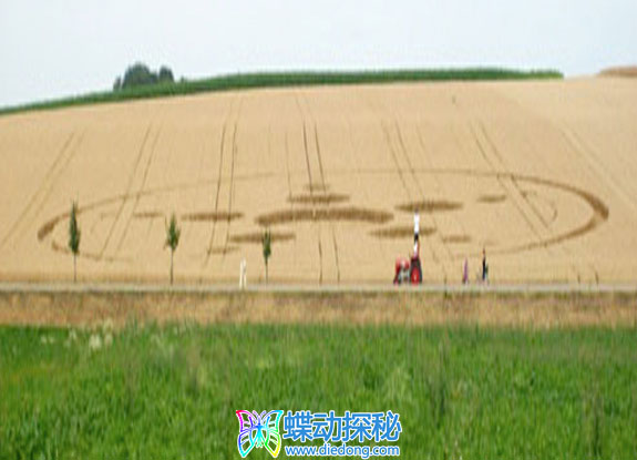 2013年7月27日德国Haunsheim Bavaria麦田怪圈(未知月份月later日再次更新)