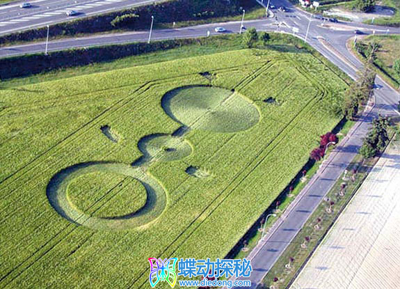 2006年6月03日法国Amiliy Centre麦田怪圈