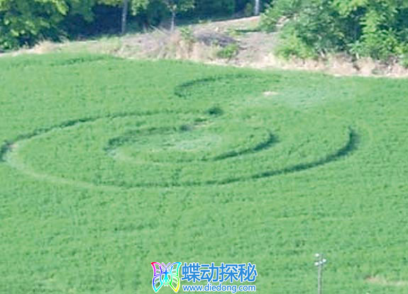 2006年6月10日意大利Cartoceto Marche麦田怪圈