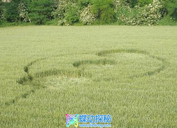 2007年5月17日意大利Farogliano Piemonte麦田怪圈