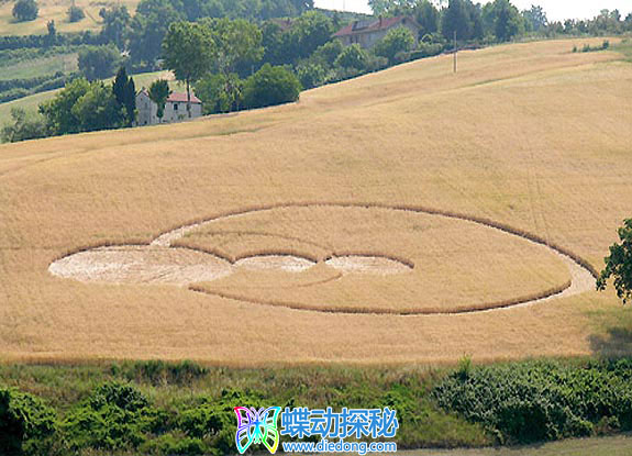 2007年5月20日意大利Ancona Marche麦田怪圈