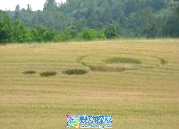 2008年6月19日意大利Montaldo Roero Piemonte麦田怪圈