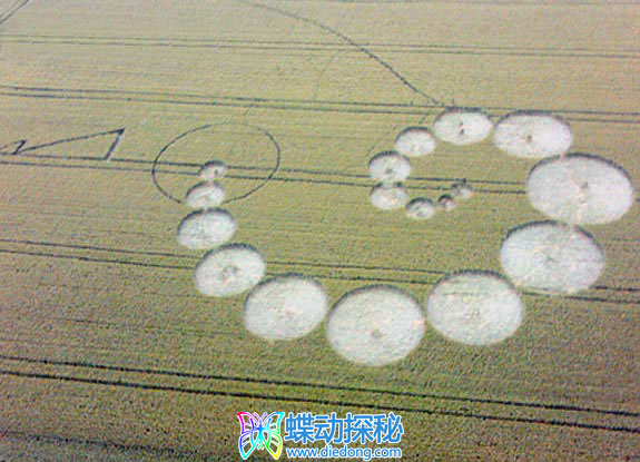 2010年5月28日意大利Basiano MIlano麦田怪圈