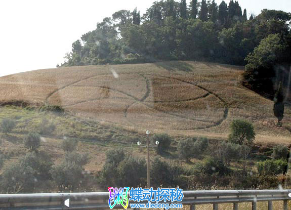 2010年7月19日意大利Volterra Toscana麦田怪圈