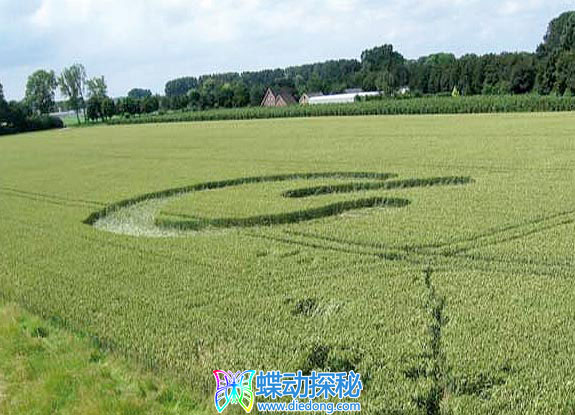 2007年6月21日荷兰Andel Noord-Brabant麦田怪圈
