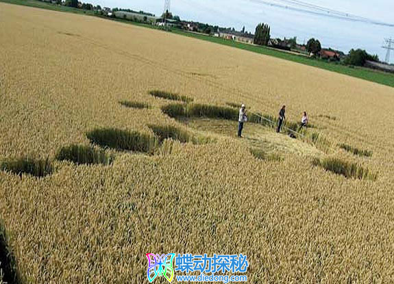 2009年7月07日荷兰Standdaarbuiten Noord-Brabant麦田怪圈