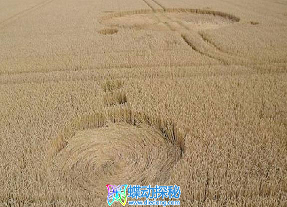 2010年7月23日荷兰Oost-Souburg Zeeland麦田怪圈