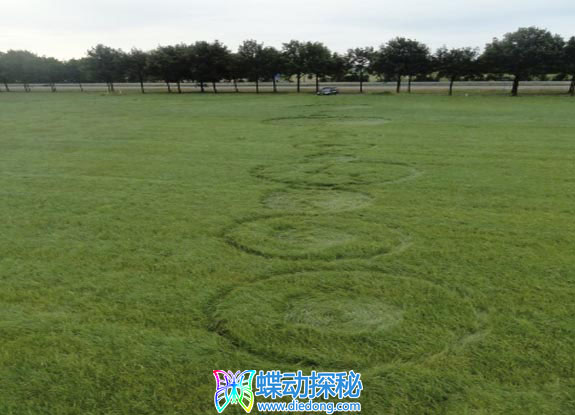 2012年7月21日荷兰Bosschenhoofd Noord-Brabant麦田怪圈(7月22日再次更新)