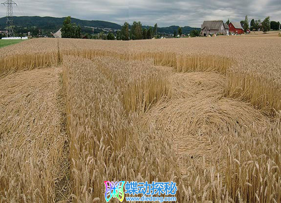 2010年8月15日挪威Ballestad Telemark麦田怪圈