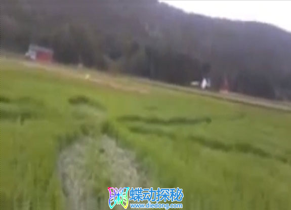2013年7月18日挪威Porsgrunn Telemark麦田怪圈