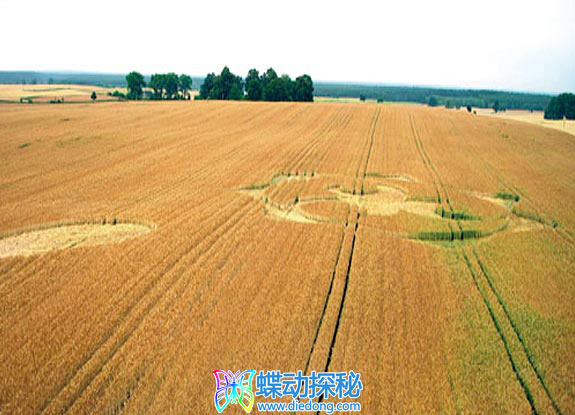 2006年7月13日波兰Makowarsko Kujawsko-Pomorskie麦田怪圈