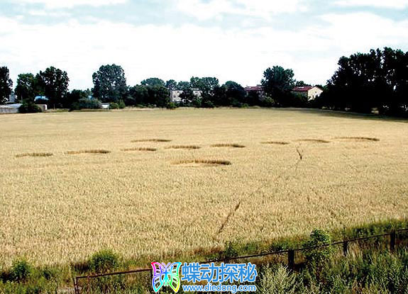 2006年7月15日波兰Siedlice Mazowieckie麦田怪圈