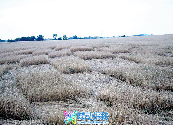 2007年7月01日波兰Labiszyn Kujawsko-Pomorskie麦田怪圈