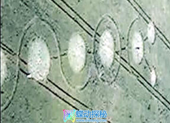 2009年5月31日俄罗斯Krasnodar Krasnodar麦田怪圈