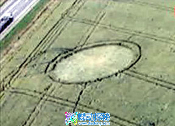 2009年5月31日俄罗斯Krasnodar Krasnodar麦田怪圈