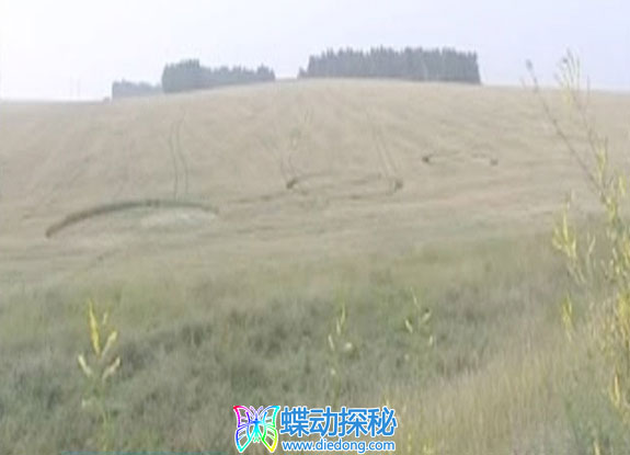2013年8月08日俄罗斯unknown麦田怪圈