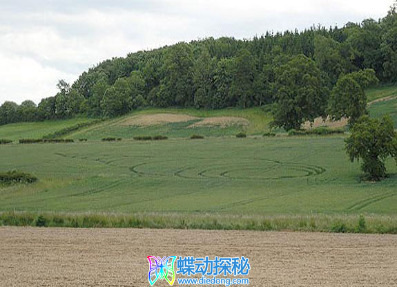 2005年6月12日英格兰Stantonbury Hill Avon麦田怪圈