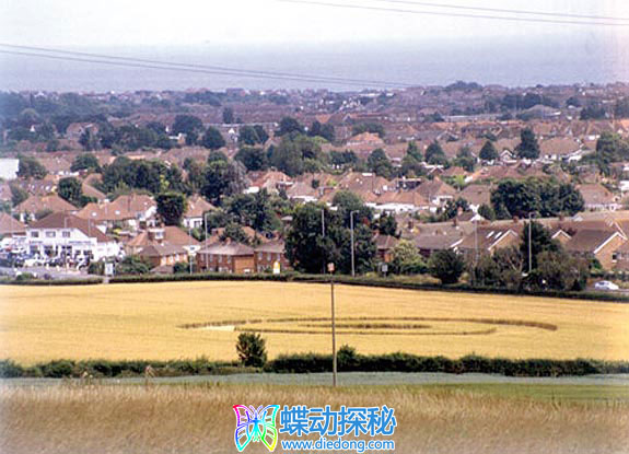 2005年6月26日英格兰Sompting West Sussex麦田怪圈