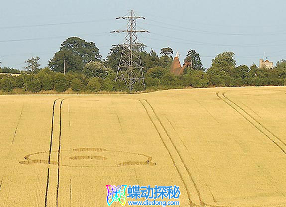 2005年7月06日英格兰Meopham Kent麦田怪圈