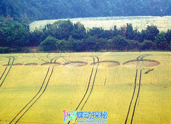 2006年7月04日英格兰Aston Hertfordshire麦田怪圈