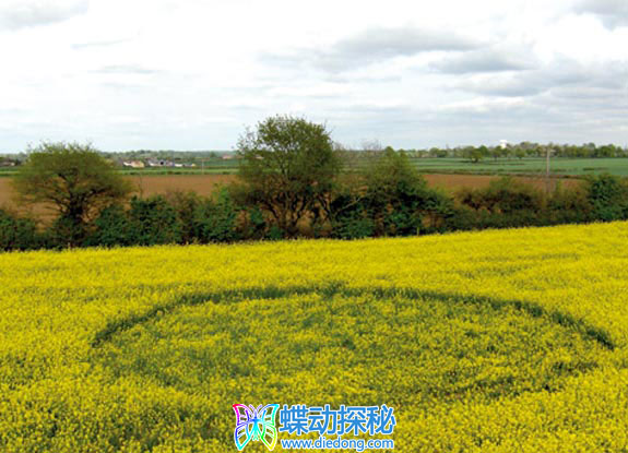 2007年4月22日英格兰Hullington Airfield Wiltshire麦田怪圈