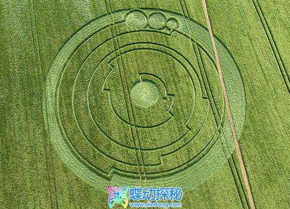2008年6月01日英格兰Barbury Castle Wiltshire麦田怪圈