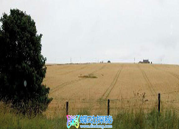 2008年8月10日苏格兰Sandend Aberdeenshire麦田怪圈