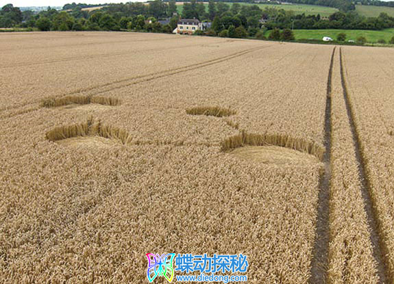 2008年8月12日英格兰Cherhill Wiltshire麦田怪圈