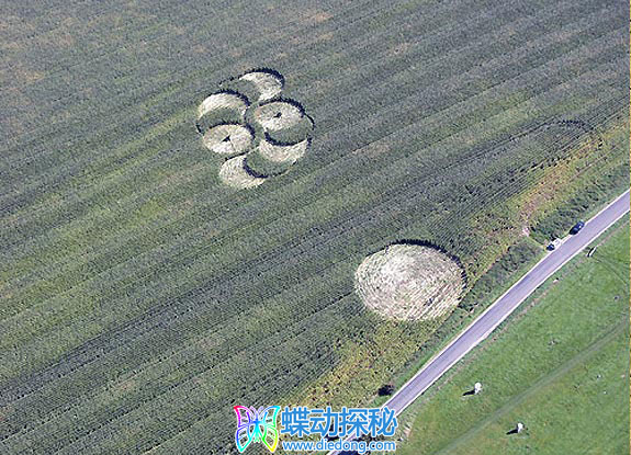 2008年9月14日英格兰Avebury Stone Avenue Wiltshire麦田怪圈