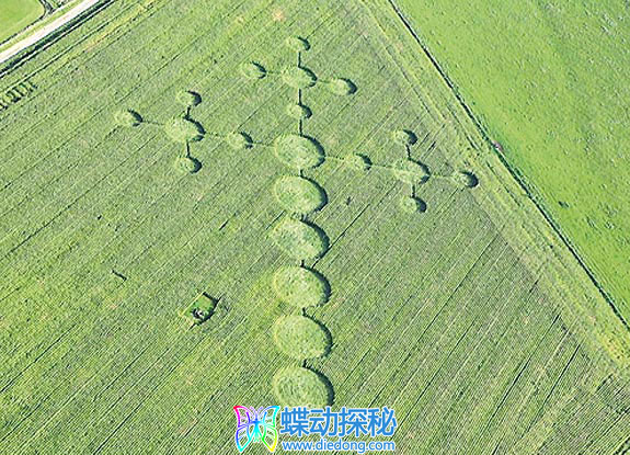 2008年9月28日英格兰Avebury Down Wiltshire麦田怪圈