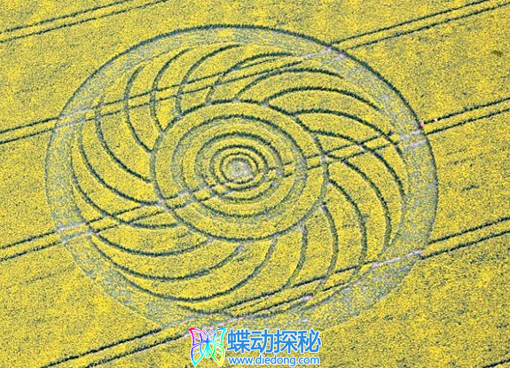 2009年4月29日英格兰Roundway Hill Wiltshire麦田怪圈