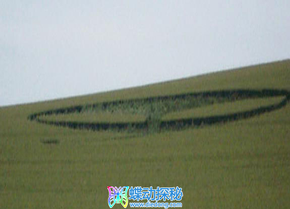 2009年6月20日英格兰Waden Hill Wiltshire麦田怪圈