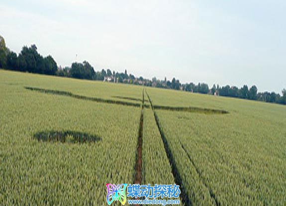 2009年6月22日英格兰Rochford Golf Course Wiltshire麦田怪圈