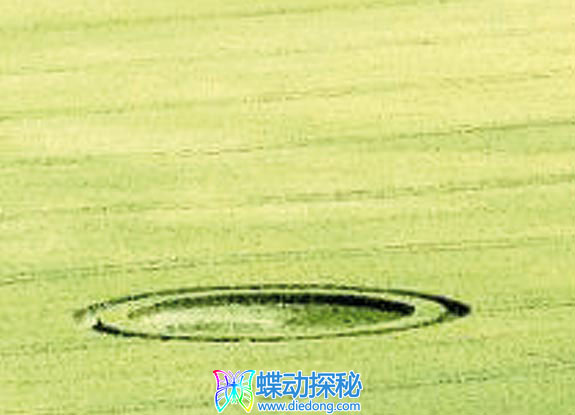 2009年7月04日英格兰Pewsey Wiltshire麦田怪圈