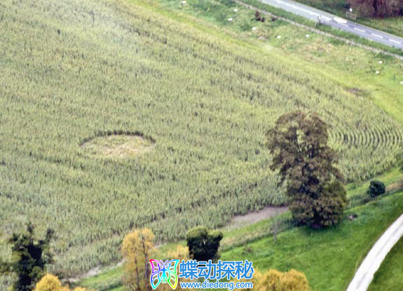 2010年8月27日英格兰Avebury Manor Wiltshire麦田怪圈