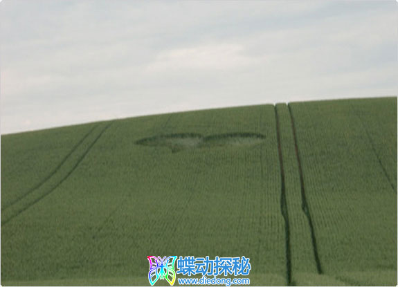 2011年6月26日英格兰Beelsby North Lincolnshire麦田怪圈